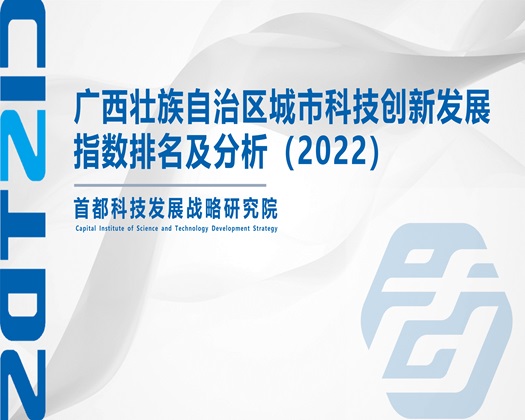 橾逼视频链接【成果发布】广西壮族自治区城市科技创新发展指数排名及分析（2022）